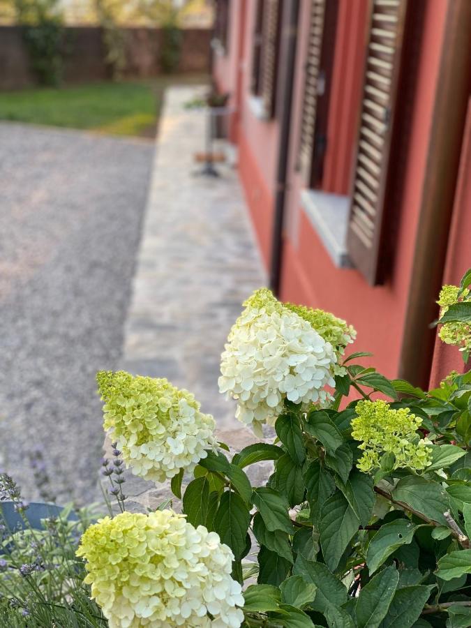 Il Mallo Verde - Lake Como B&B Mandello del Lario Luaran gambar