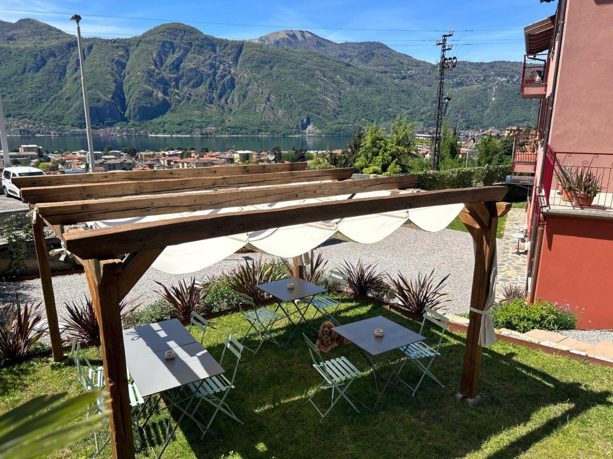 Il Mallo Verde - Lake Como B&B Mandello del Lario Luaran gambar